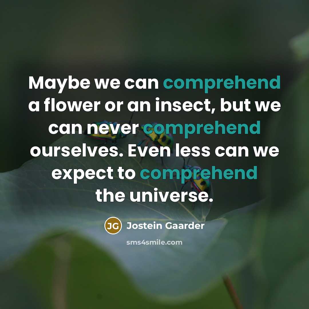 “Maybe we can comprehend a flower or an insect, but…” quote by Jostein Gaarder