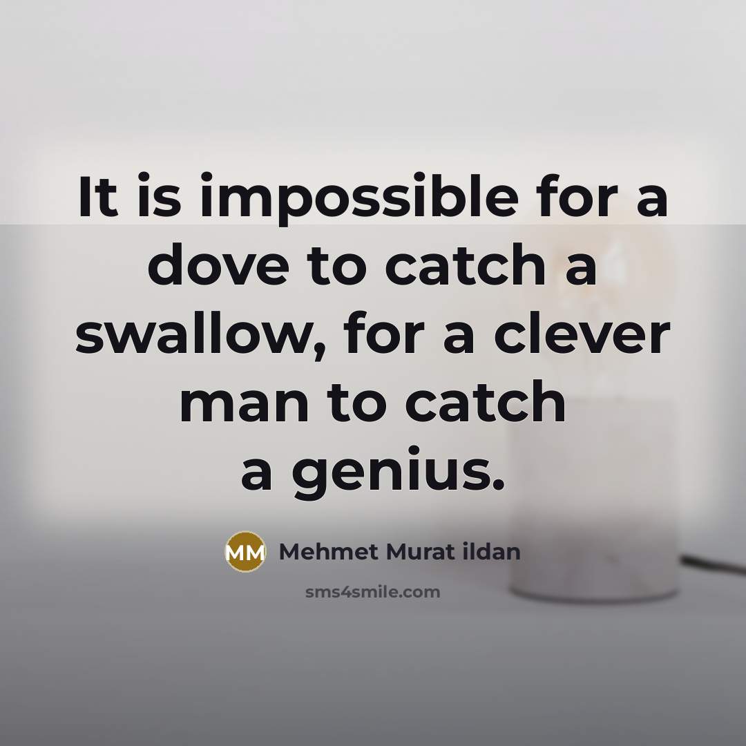 “It is impossible for a dove to catch a swallow,…” quote by Mehmet Murat Ildan