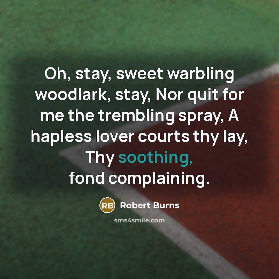“Oh, stay, sweet warbling woodlark, stay, Nor quit for me…” quote by Robert Burns