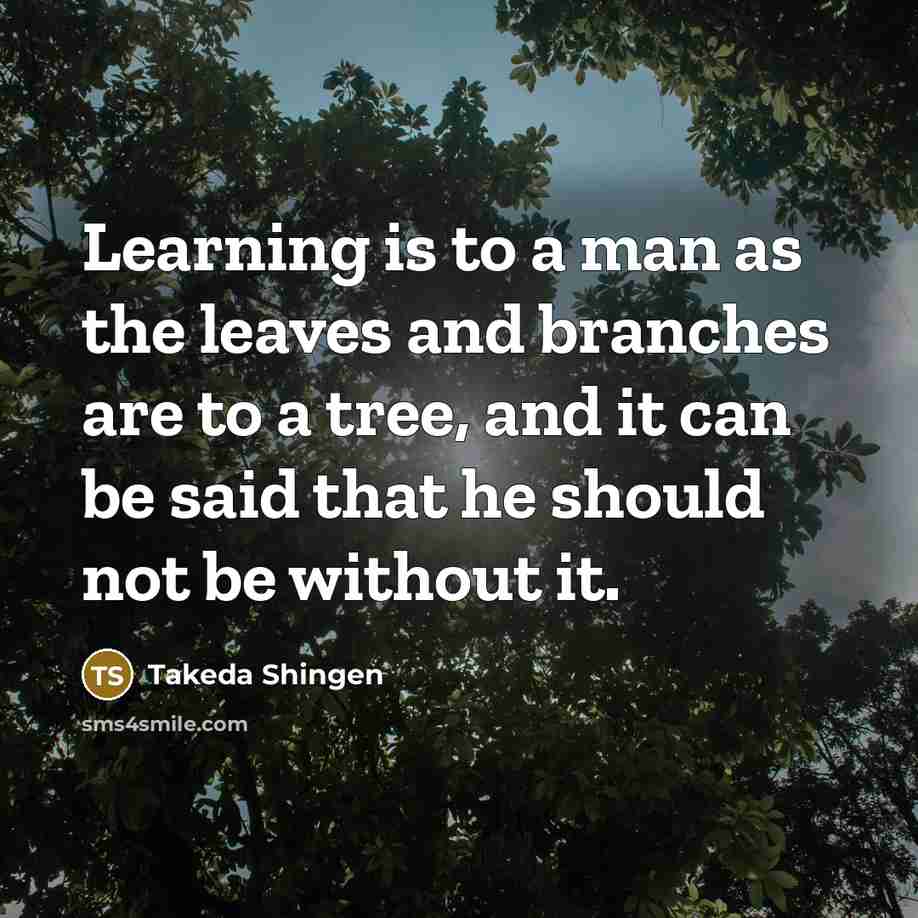 “Learning is to a man as the leaves and branches…” quote by Takeda Shingen