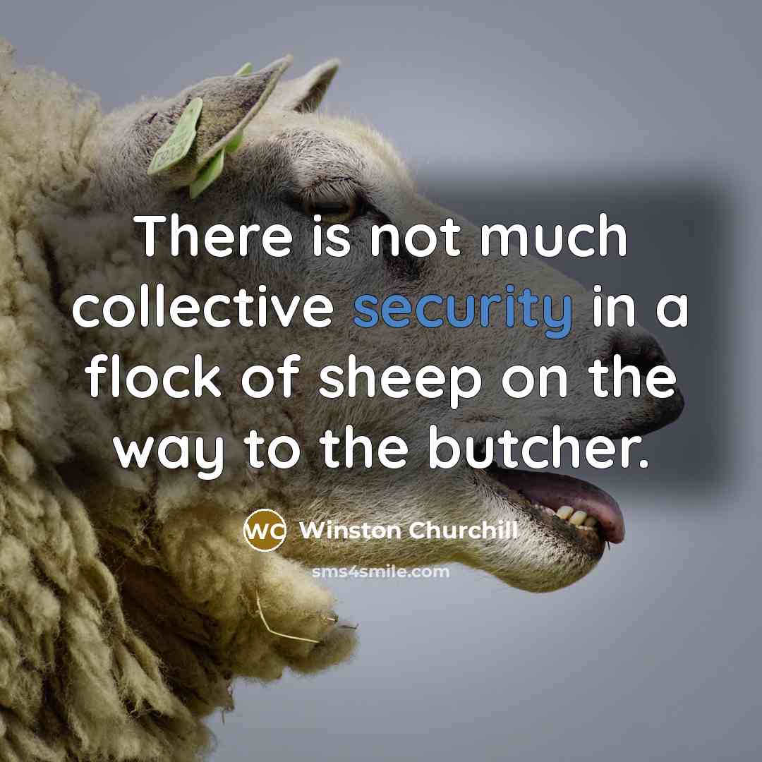 “There is not much collective security in a flock of…” quote by Winston Churchill