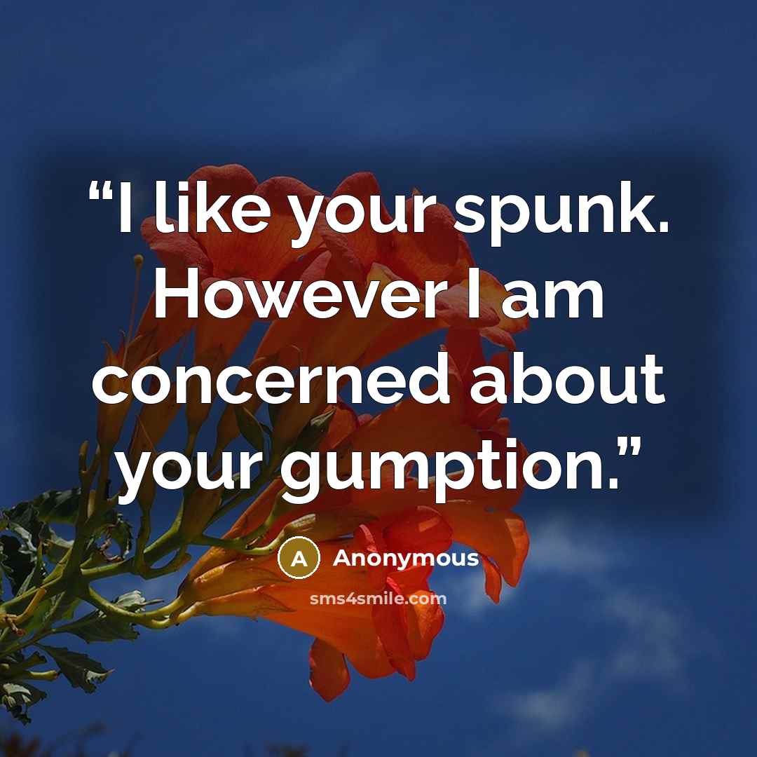 “I like your spunk. However I am concerned about your gumption.” quote by Anonymous