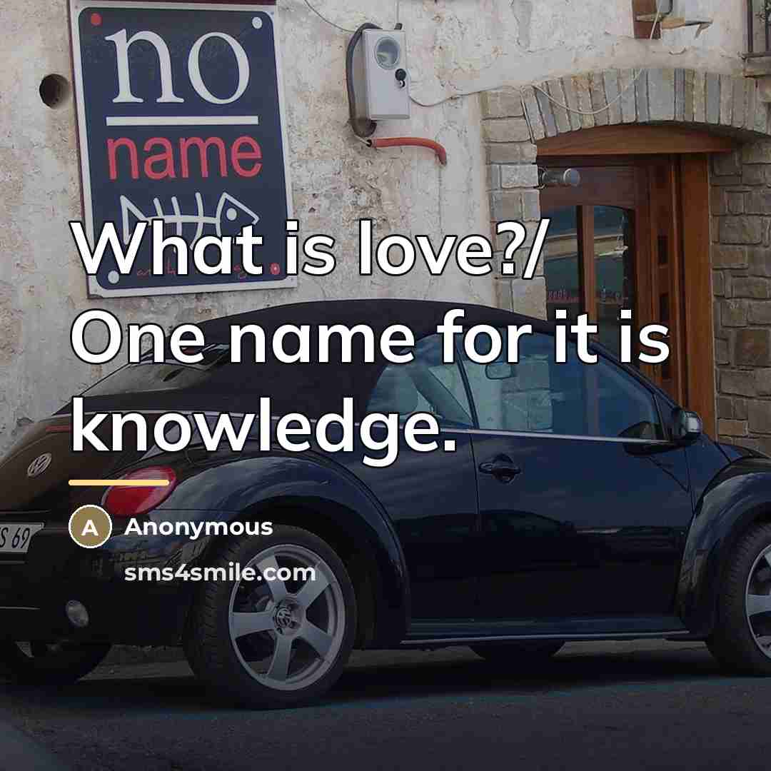 “What is love?/ One name for it is knowledge.…” quote by Anonymous