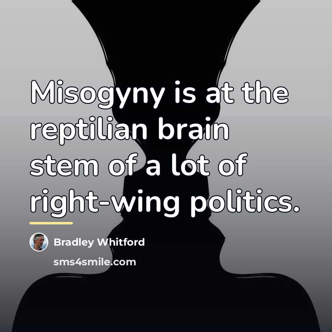 “Misogyny is at the reptilian brain stem of a lot…” quote by Bradley Whitford