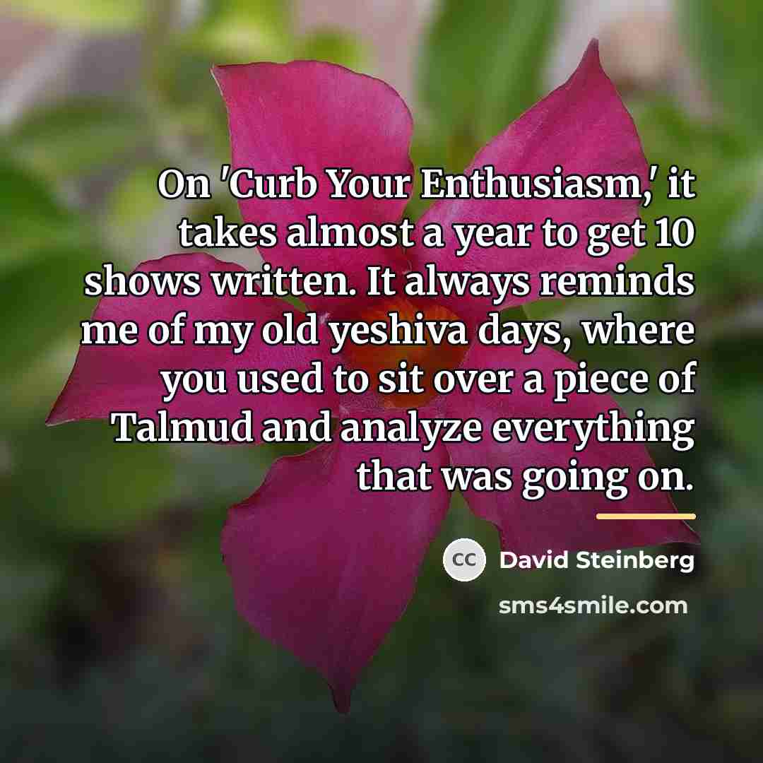 “On 'Curb Your Enthusiasm,' it takes almost a year to…” quote by David Steinberg