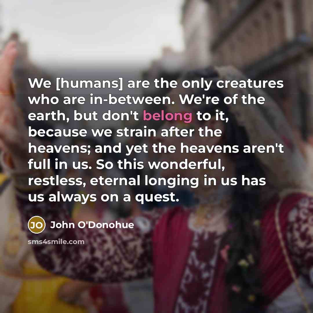 “We [humans] are the only creatures who are in-between. We're…” quote by John O'Donohue