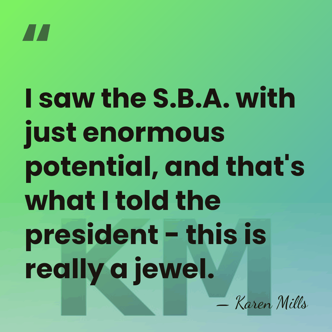 I saw the S.B.A. with just enormous potential, and that's what I&hellip; - Karen Mills