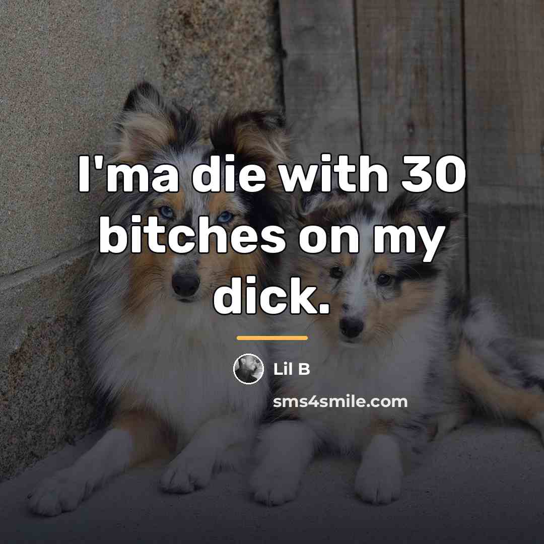 “I'ma die with 30 bitches on my dick.…” quote by Lil B