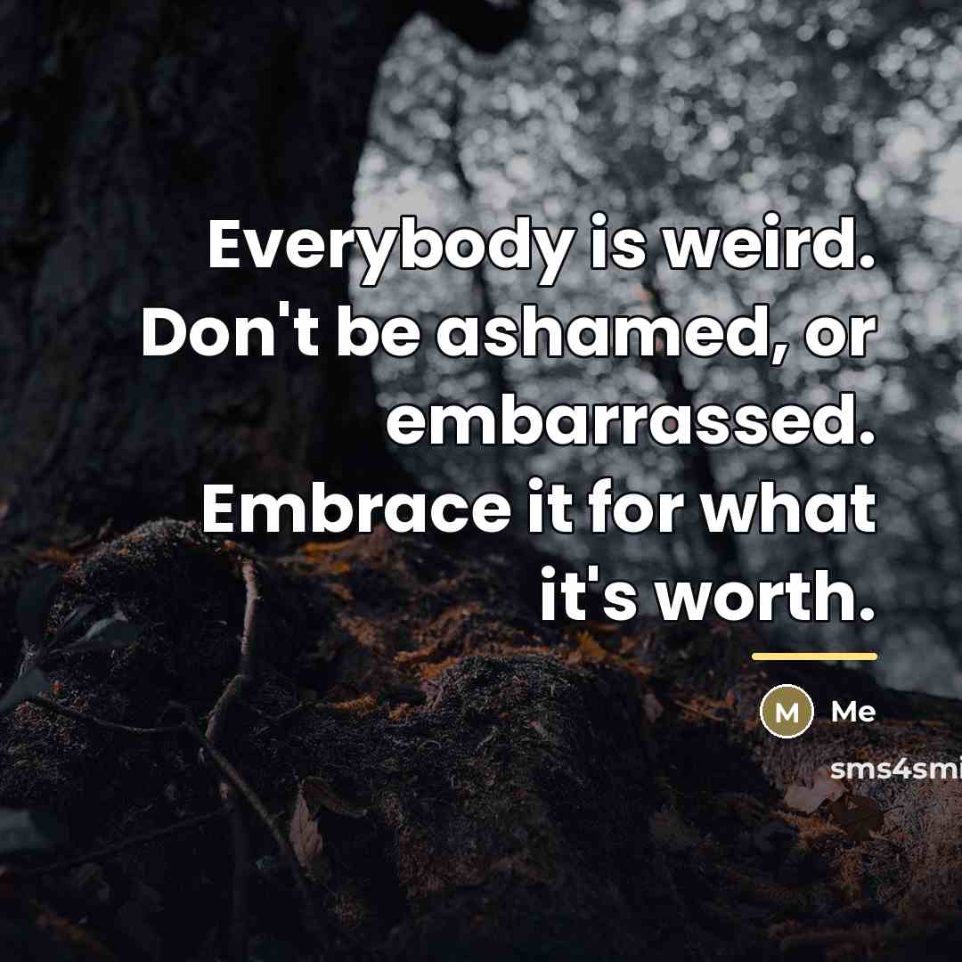 “Everybody is weird. Don't be ashamed, or embarrassed. Embrace it…” quote by Me