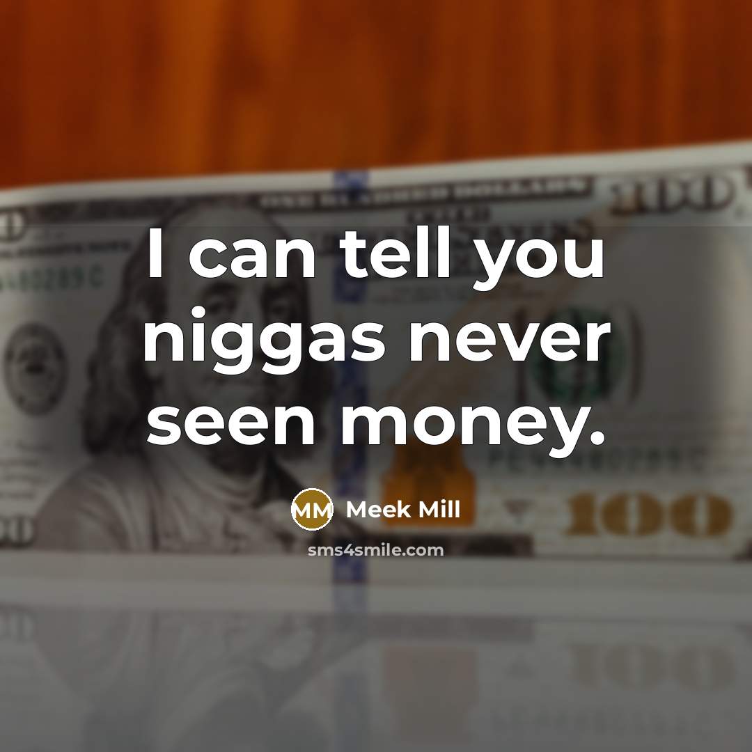 “I can tell you niggas never seen money.…” quote by Meek Mill
