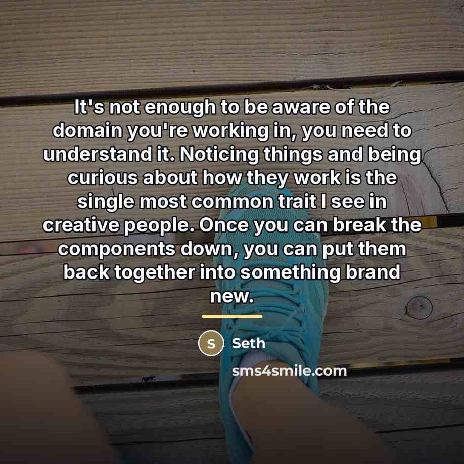 “It's not enough to be aware of the domain you're…” quote by Seth