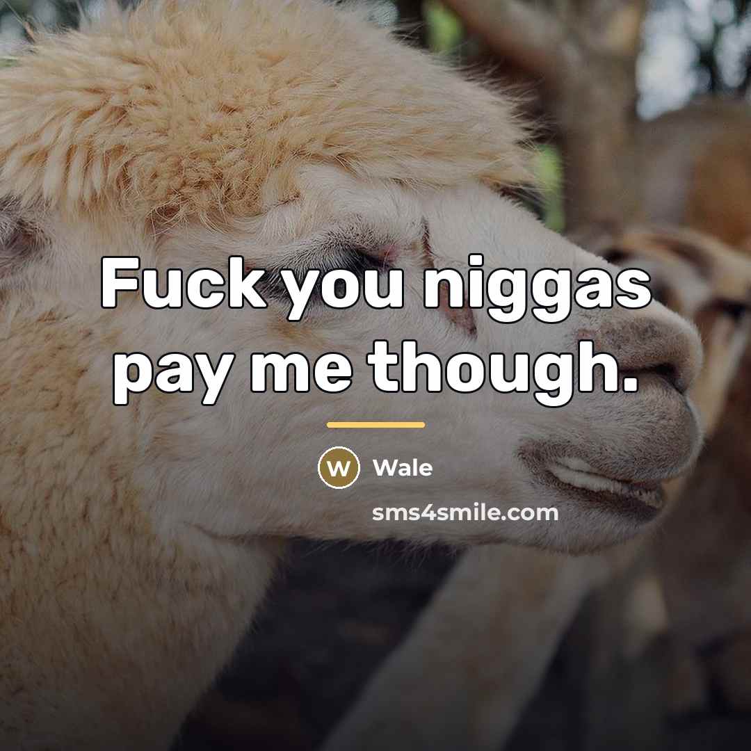 “Fuck you niggas pay me though.…” quote by Wale