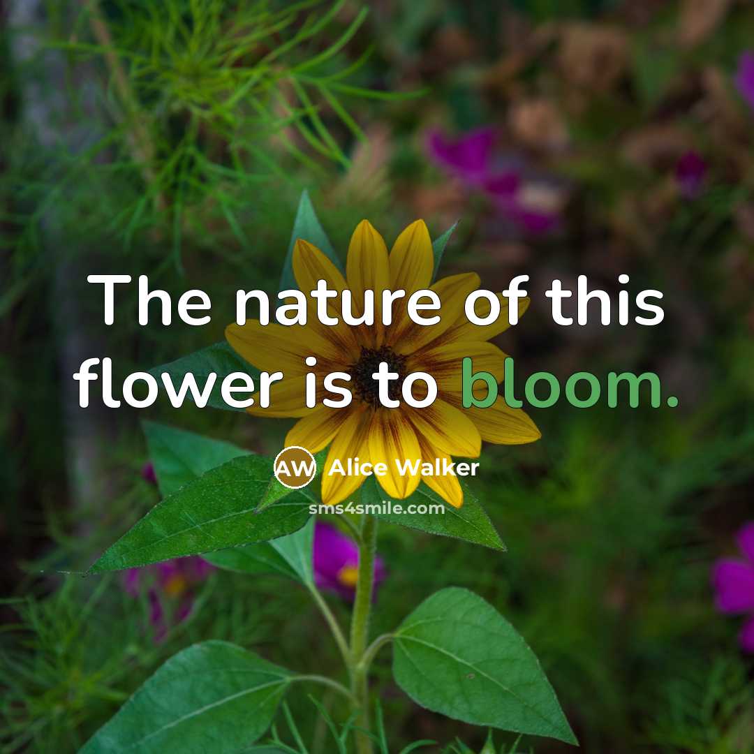 “The nature of this flower is to bloom.…” quote by Alice Walker