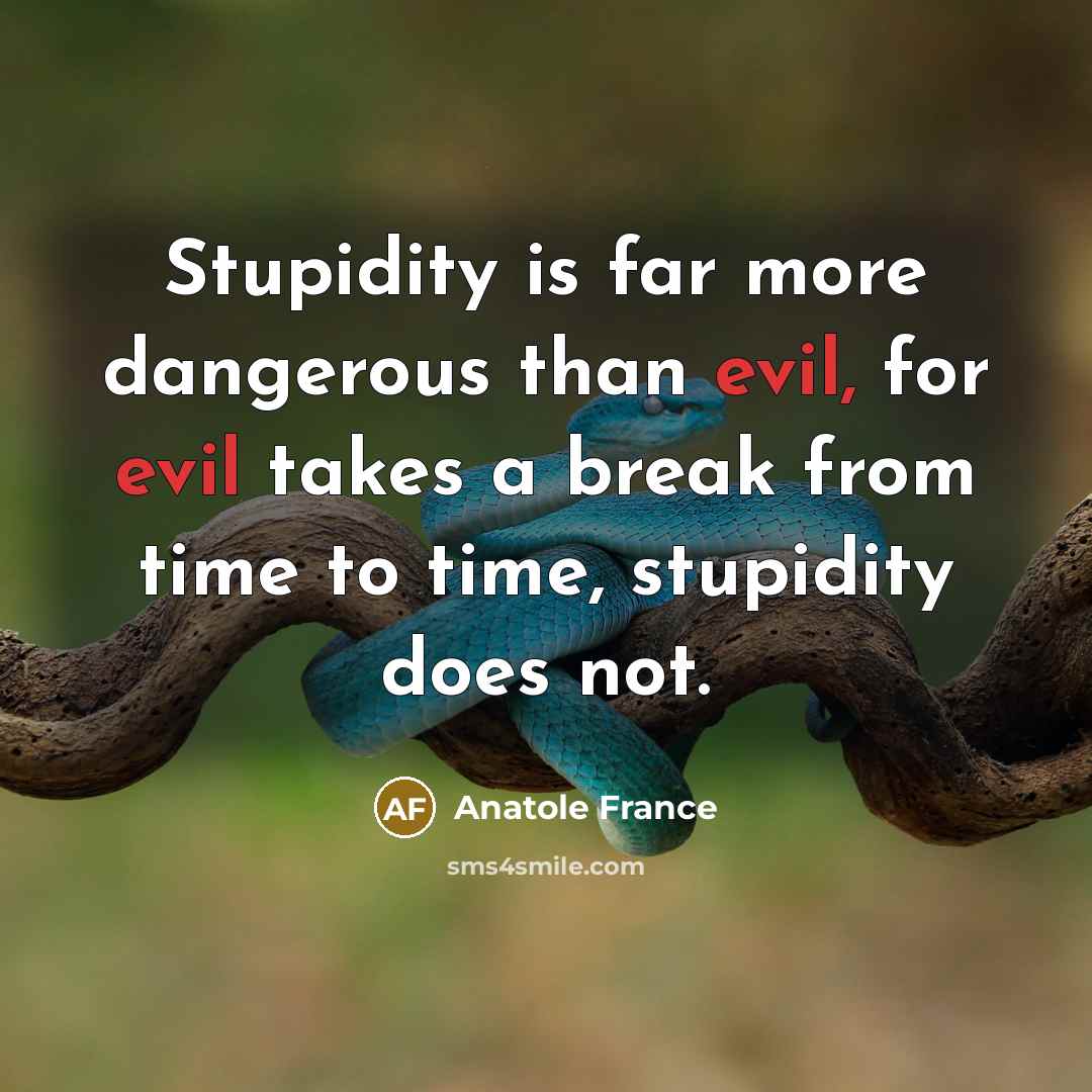 “Stupidity is far more dangerous than evil, for evil takes…” quote by Anatole France