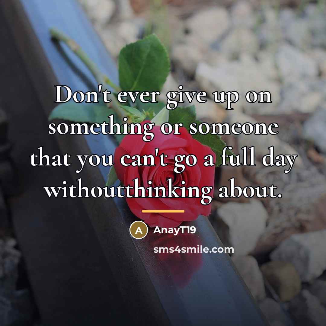 “Don't ever give up on something or someone that you…” quote by AnayT19