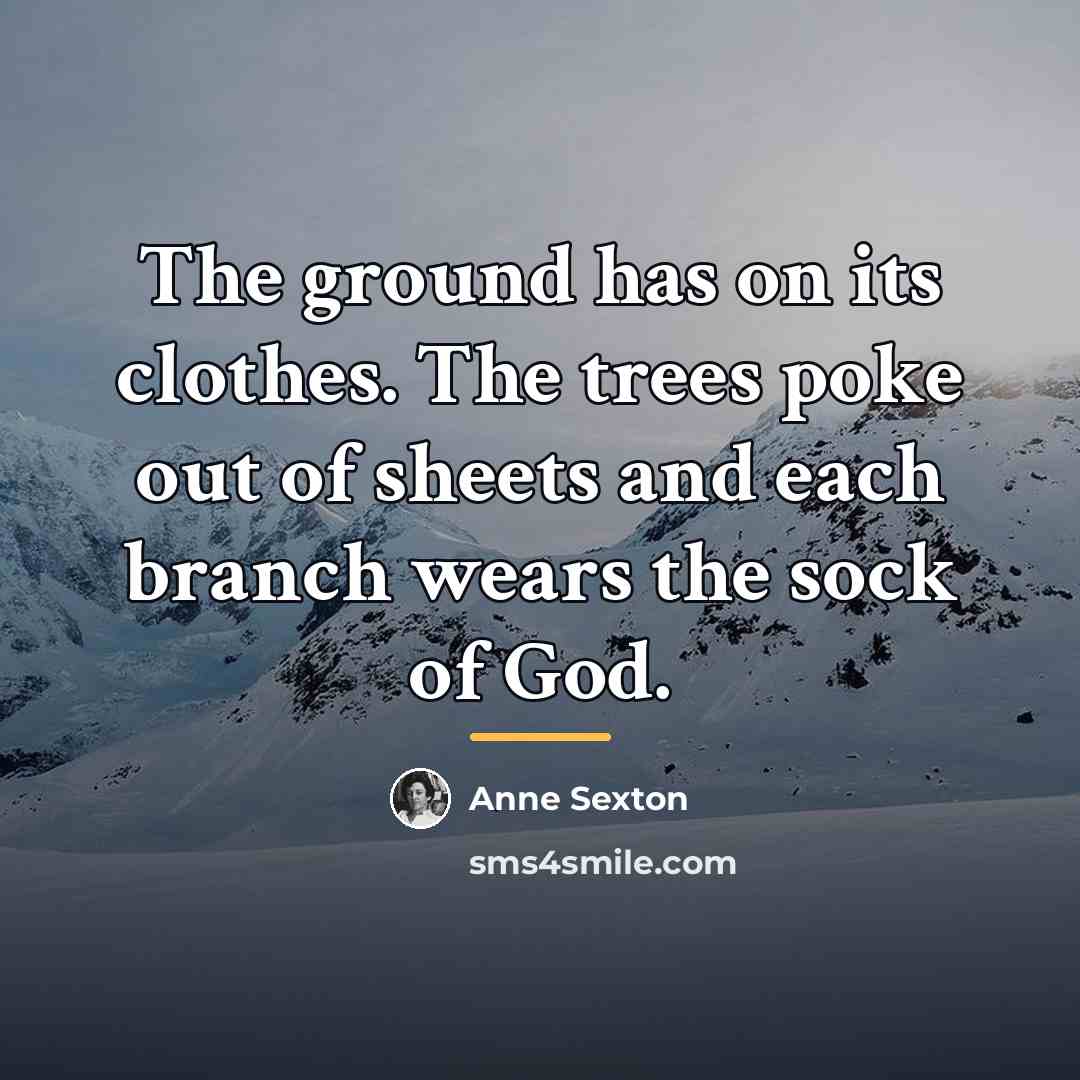 “The ground has on its clothes. The trees poke out…” quote by Anne Sexton