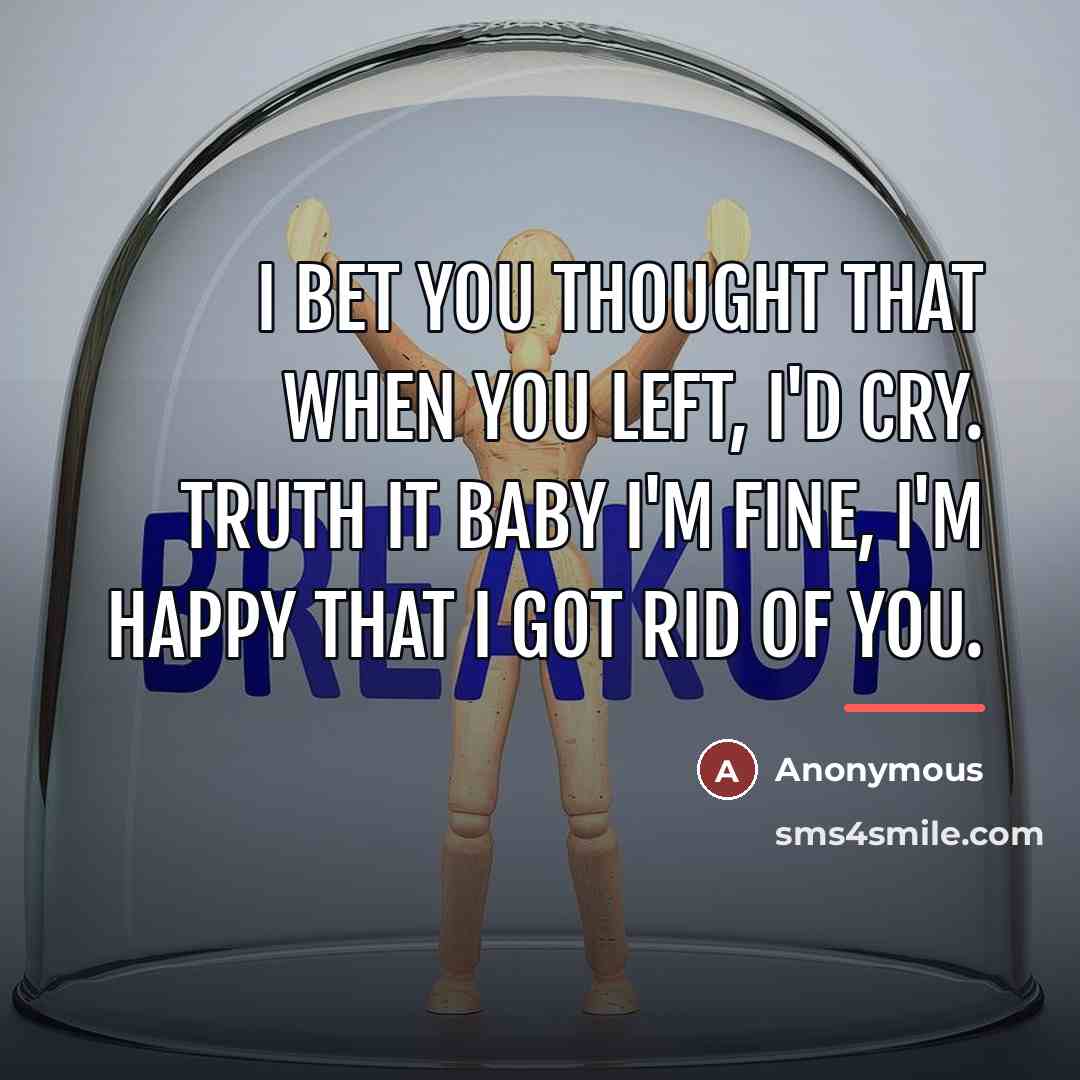 “I bet you thought that when you left, I'd cry.…” quote by Anonymous