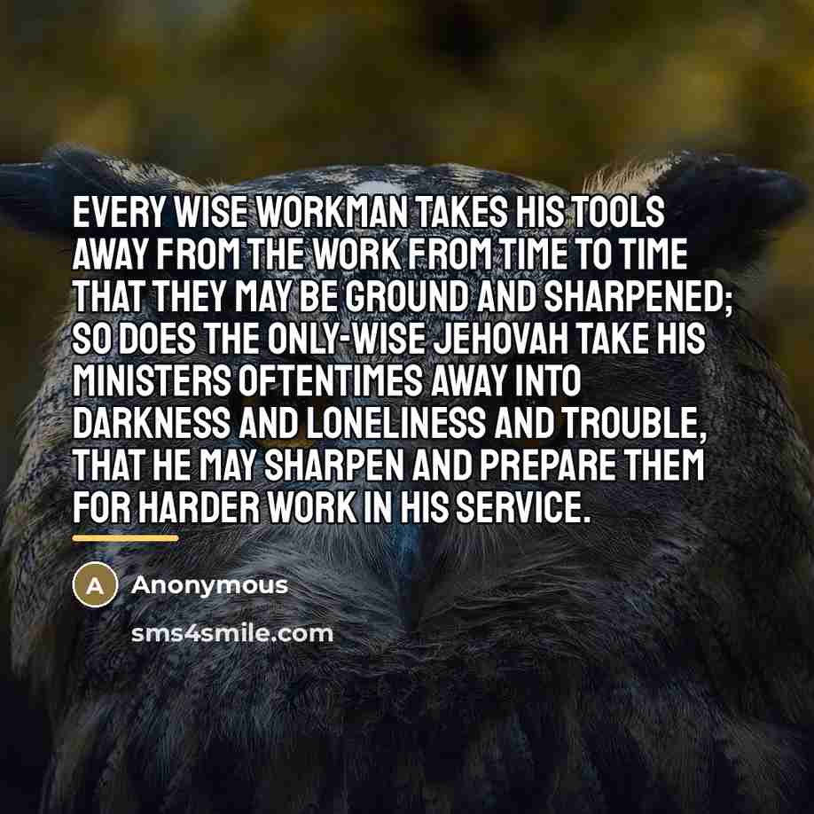 “Every wise workman takes his tools away from the work…” quote by Anonymous