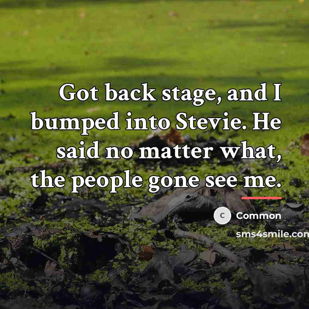 “Got back stage, and I bumped into Stevie. He said…” quote by Common