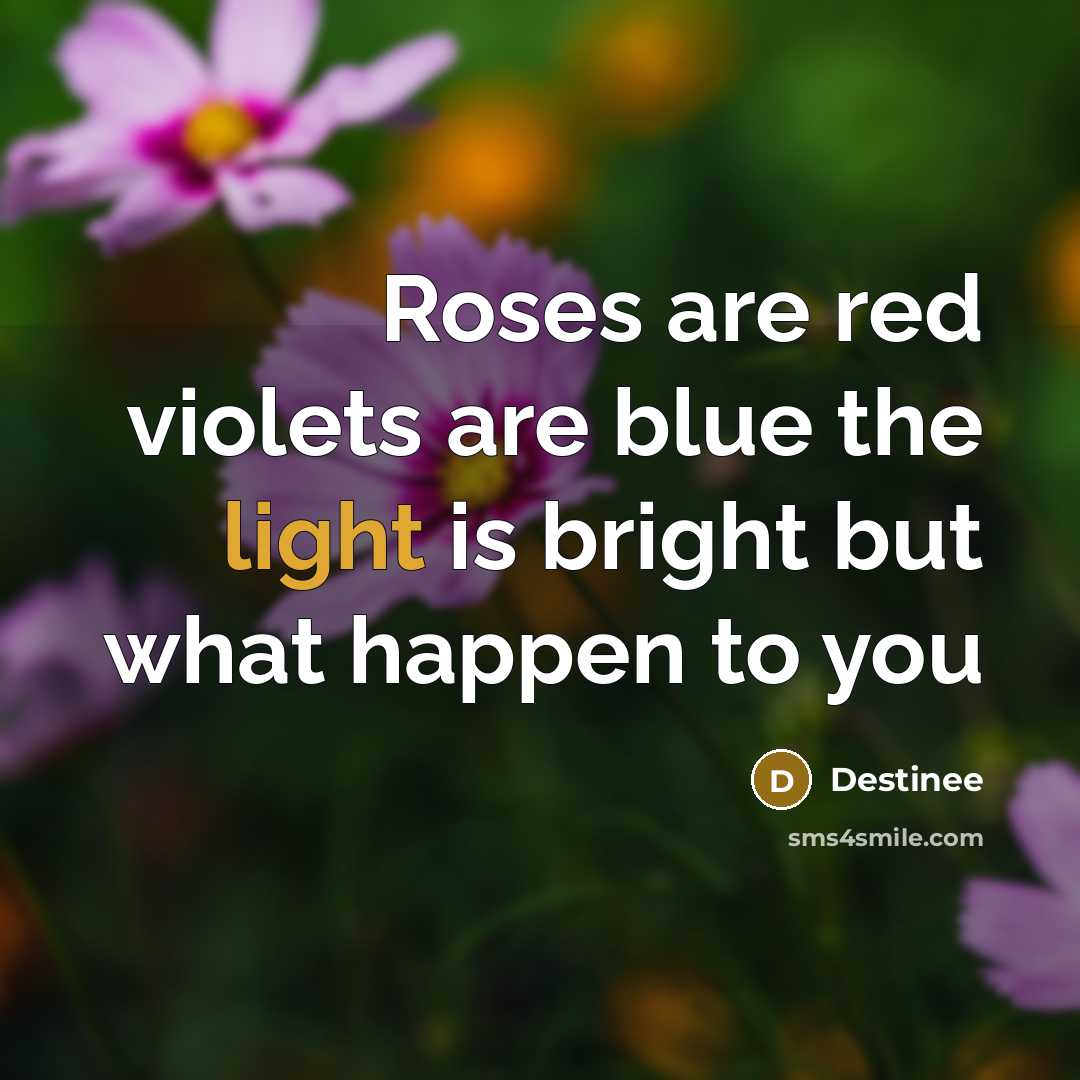 “Roses are red violets are blue the light is bright…” quote by Destinee