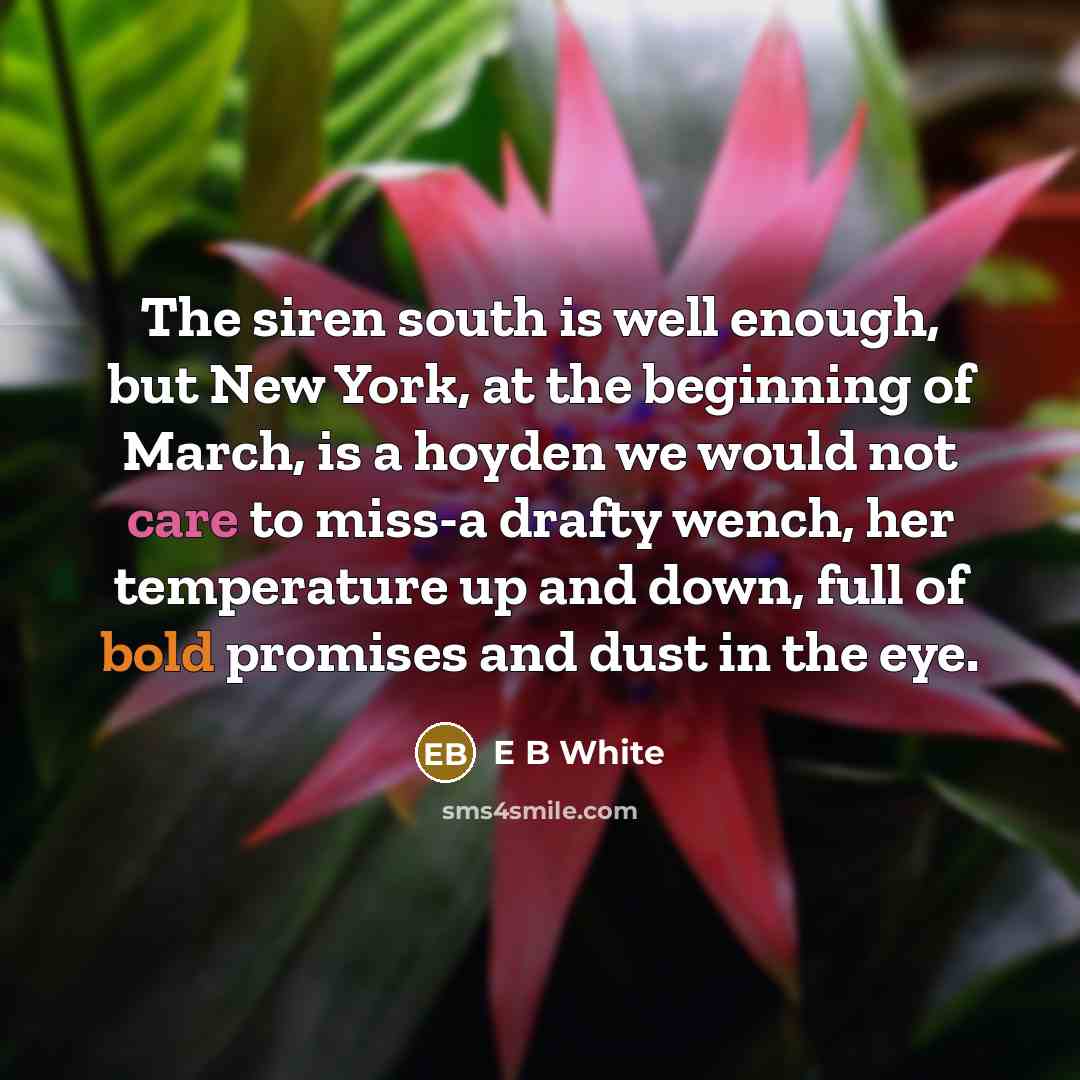 “The siren south is well enough, but New York, at…” quote by E B White