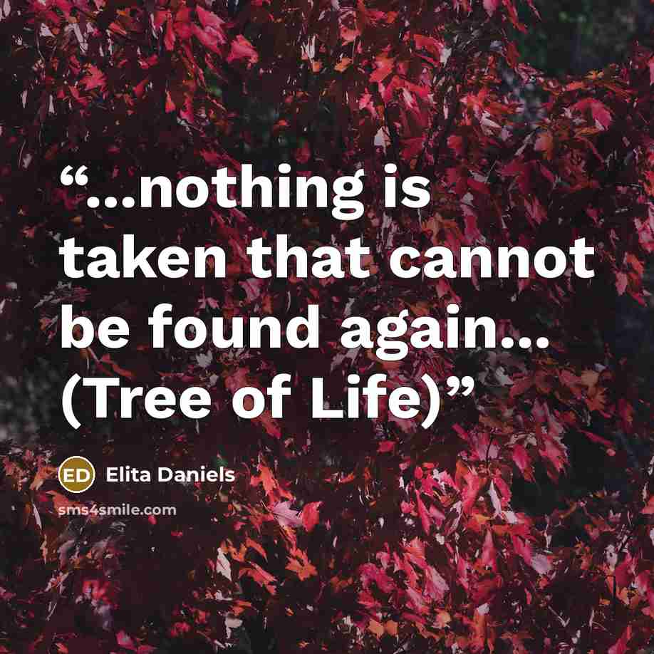 “...nothing is taken that cannot be found again... (Tree of Life)” quote by Elita Daniels