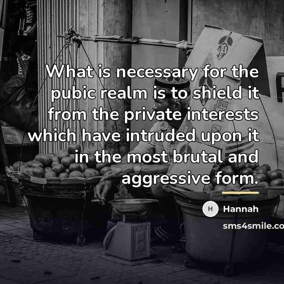 “What is necessary for the pubic realm is to shield…” quote by Hannah