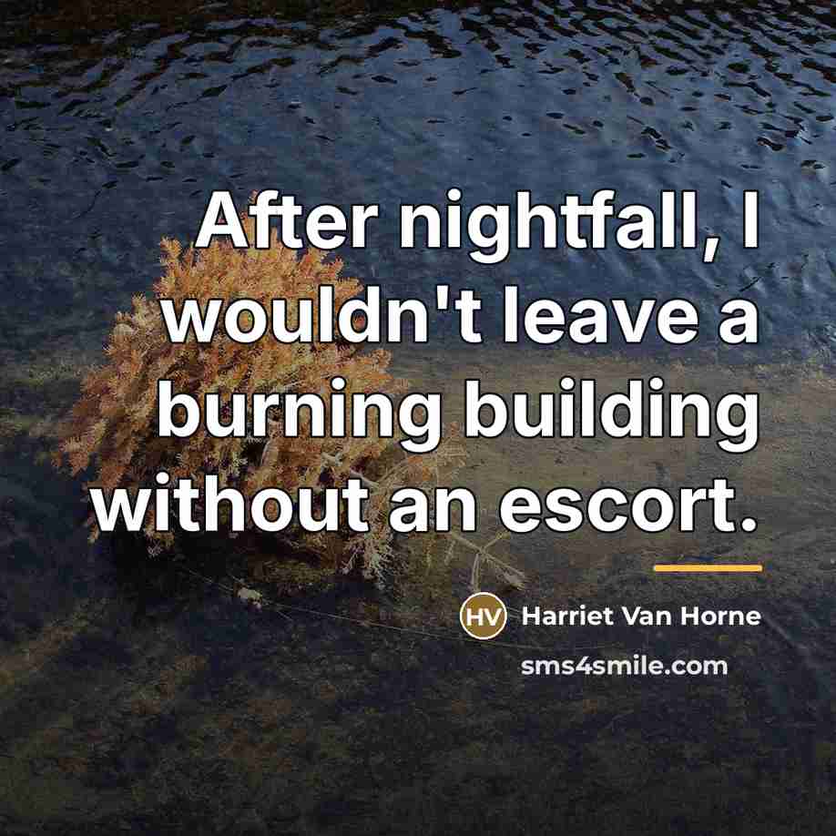 “After nightfall, I wouldn't leave a burning building without an…” quote by Harriet Van Horne