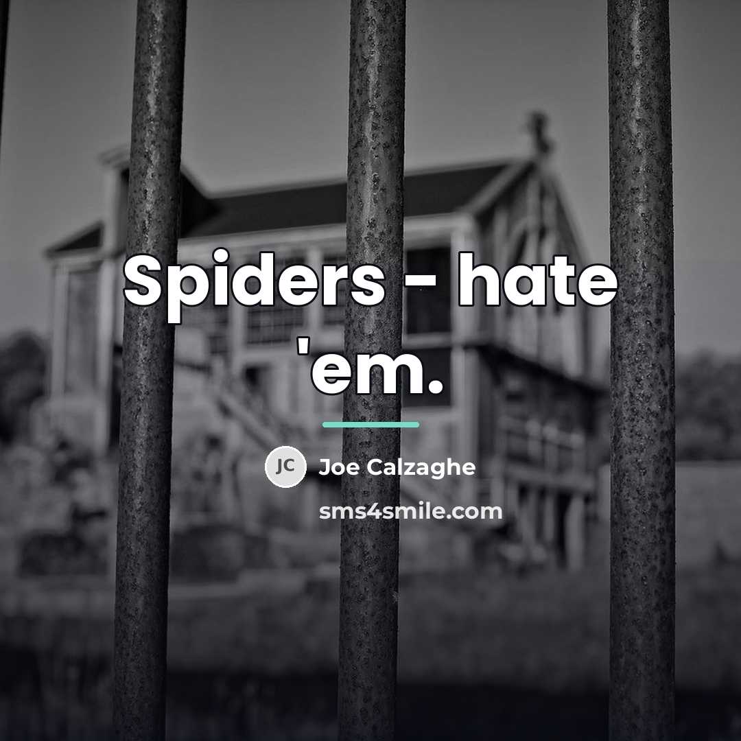 “Spiders - hate 'em.…” quote by Joe Calzaghe