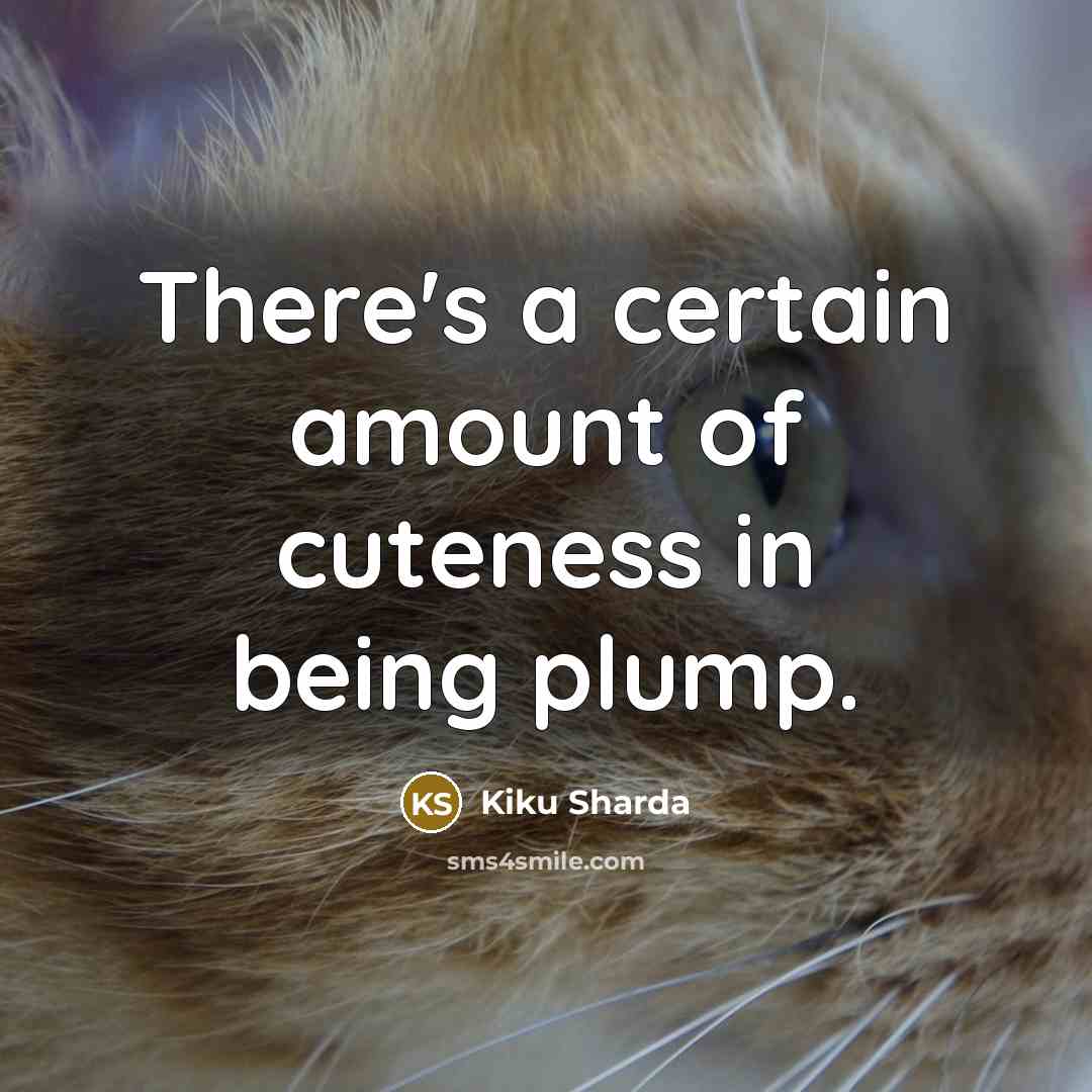 “There's a certain amount of cuteness in being plump.…” quote by Kiku Sharda