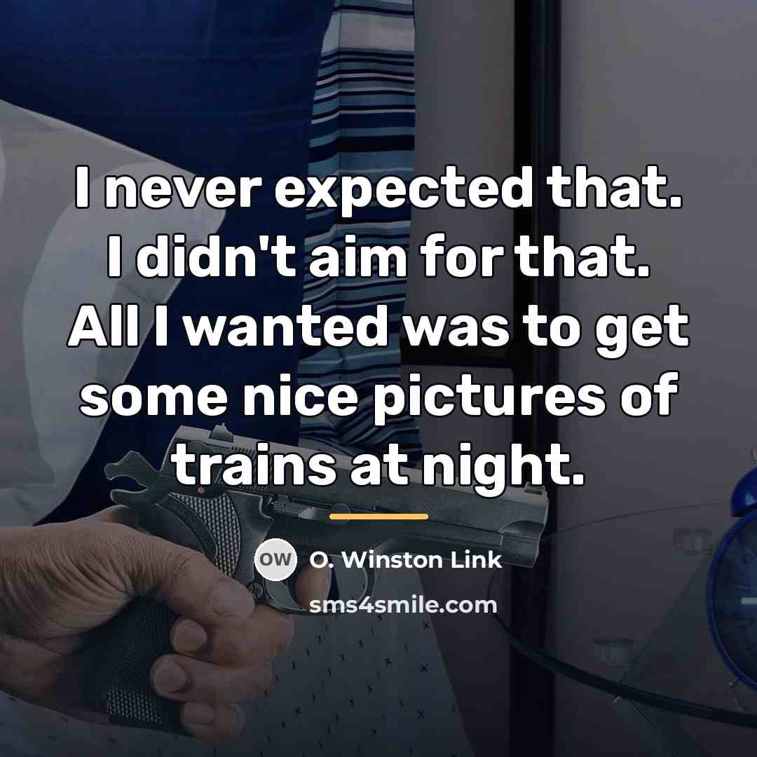 “I never expected that. I didn't aim for that. All…” quote by O. Winston Link
