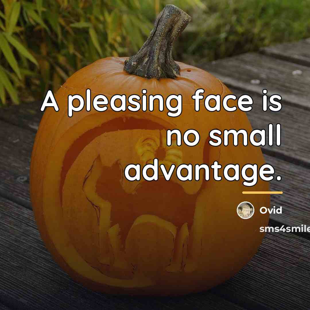 “A pleasing face is no small advantage.…” quote by Ovid