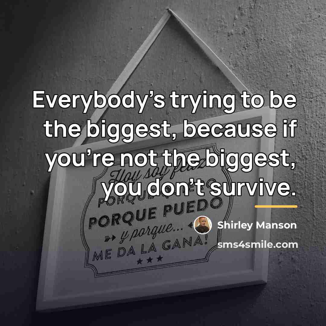 “Everybody's trying to be the biggest, because if you're not…” quote by Shirley Manson