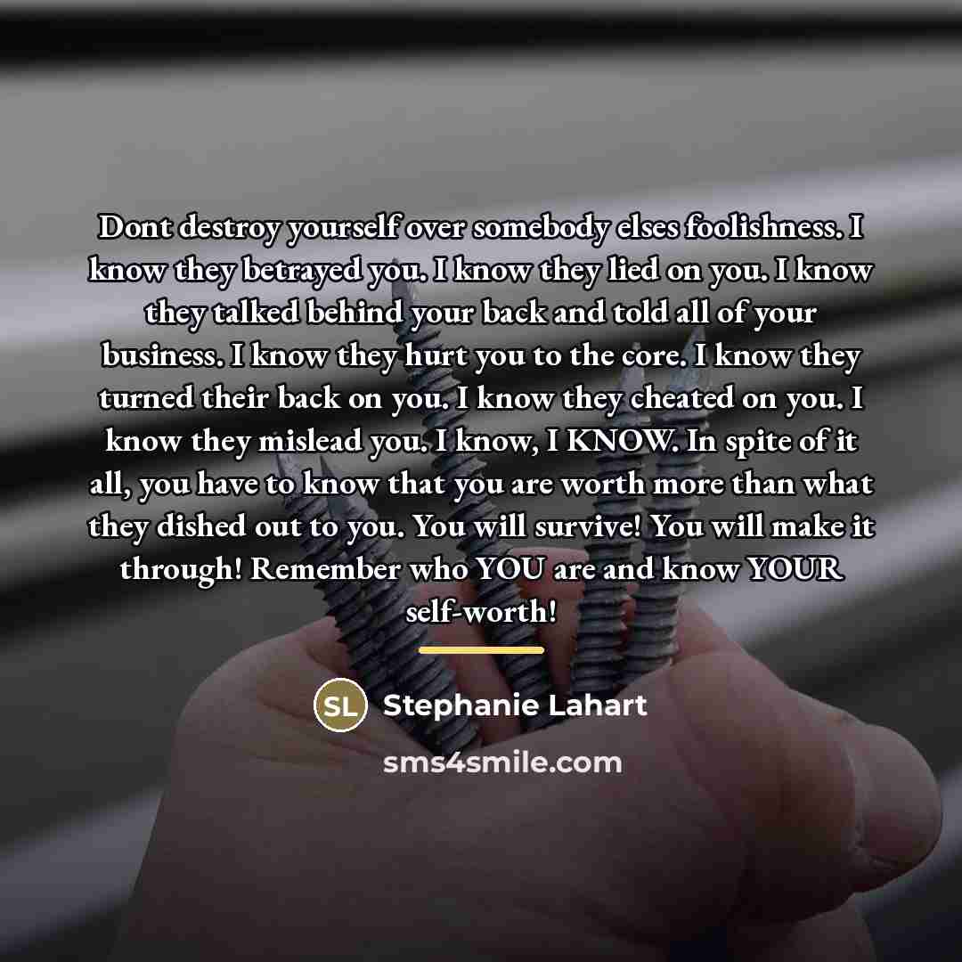 “Dont destroy yourself over somebody elses foolishness. I know they…” quote by Stephanie Lahart