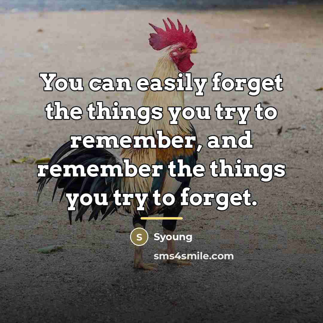 “You can easily forget the things you try to remember,…” quote by Syoung
