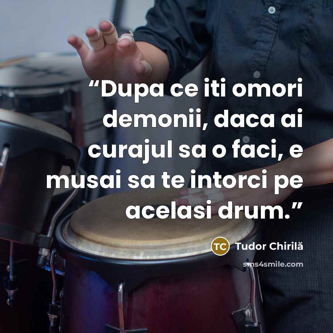 “Dupa ce iti omori demonii, daca ai curajul sa o faci, e musai sa te intorci pe acelasi drum.” quote by Tudor Chirilă