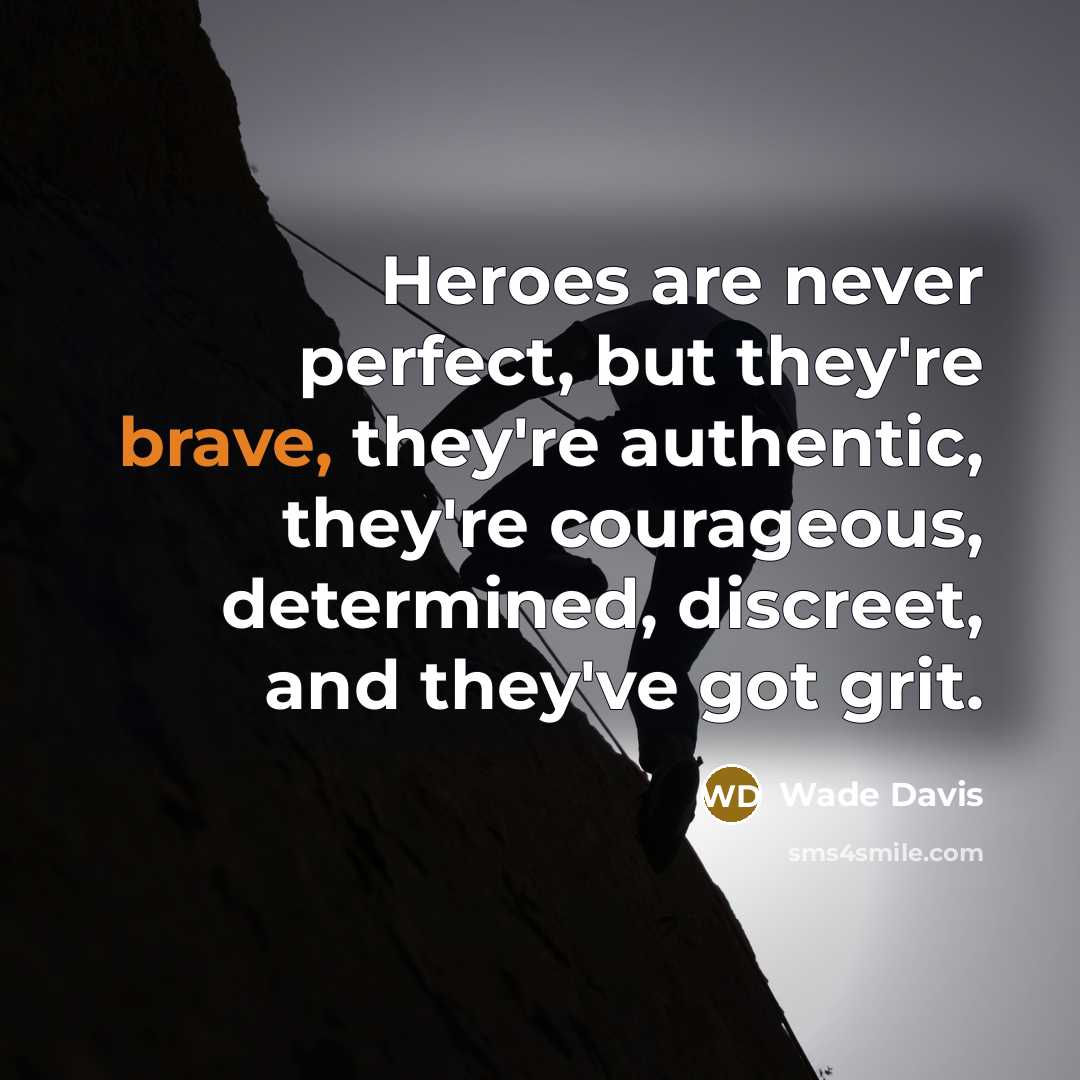 “Heroes are never perfect, but they're brave, they're authentic, they're…” quote by Wade Davis
