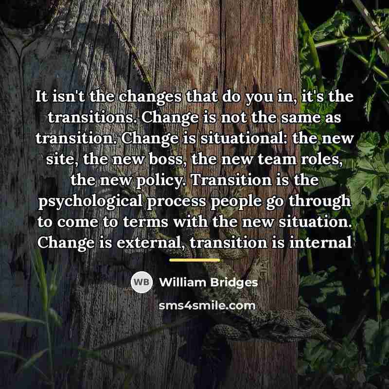 “It isn't the changes that do you in, it's the…” quote by William Bridges