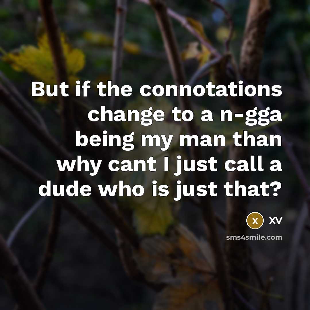 “But if the connotations change to a n-gga being my…” quote by XV