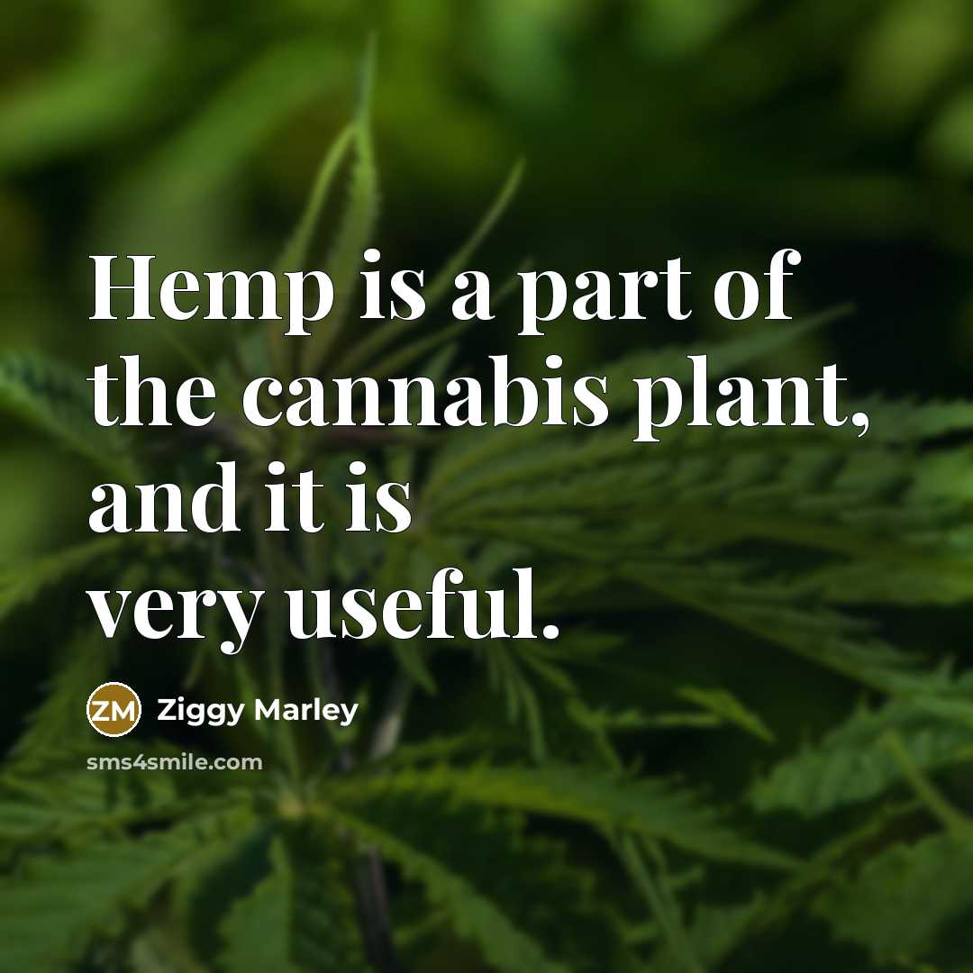“Hemp is a part of the cannabis plant, and it is very useful.” quote by Ziggy Marley