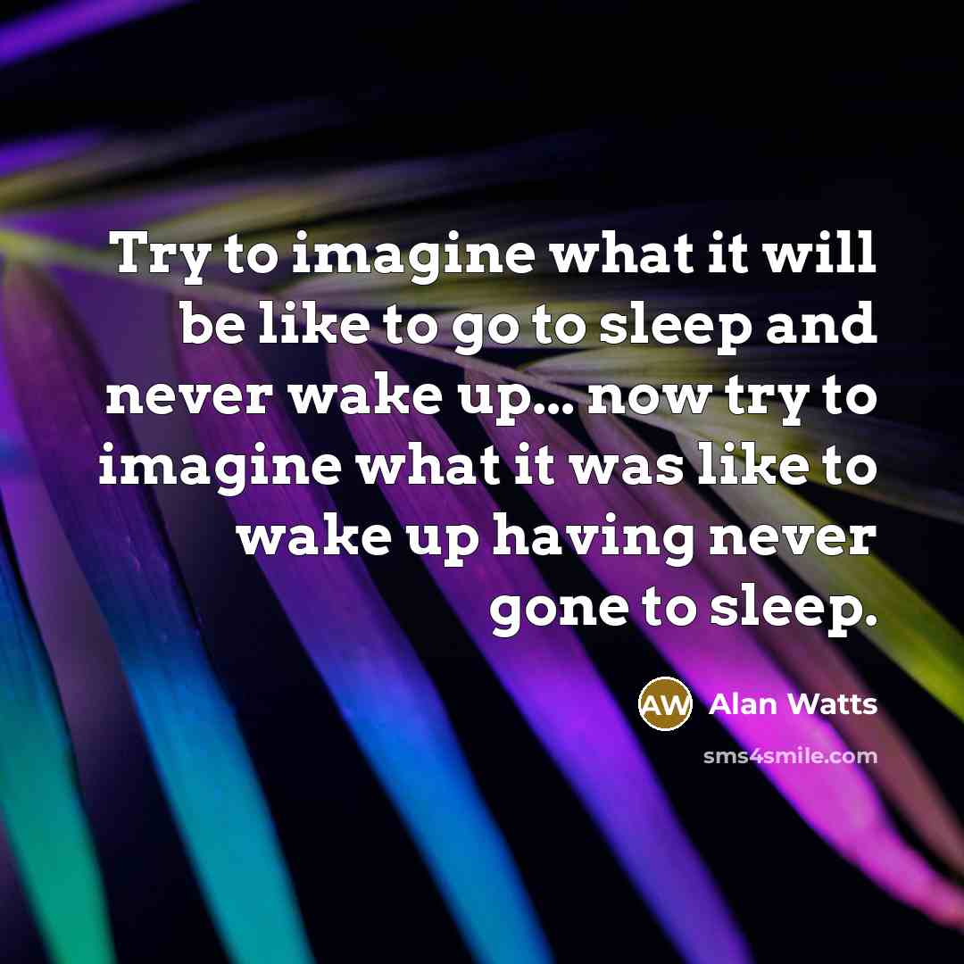 “Try to imagine what it will be like to go…” quote by Alan Watts