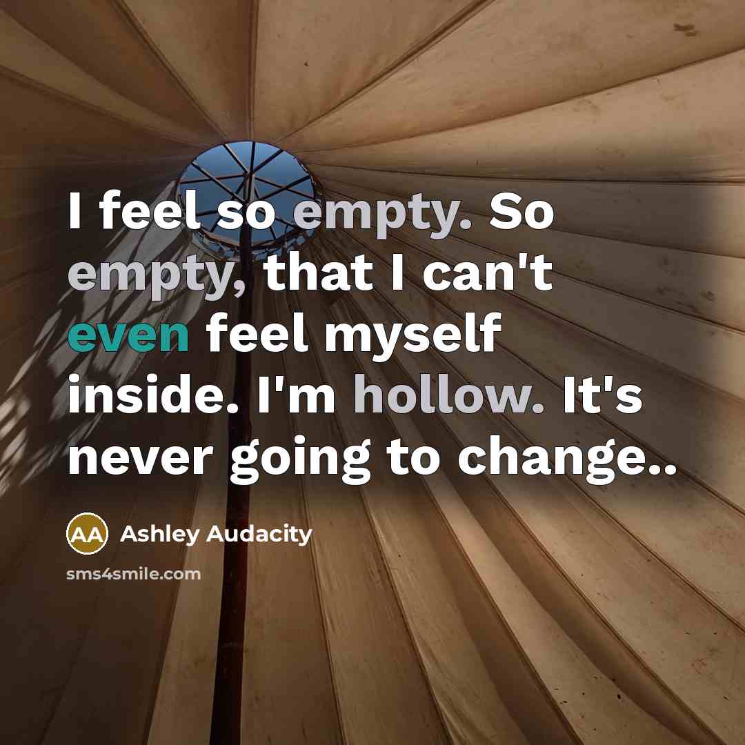 “I feel so empty. So empty, that I can't even feel myself inside. I'm hollow. It's never going to change..” quote by Ashley Audacity