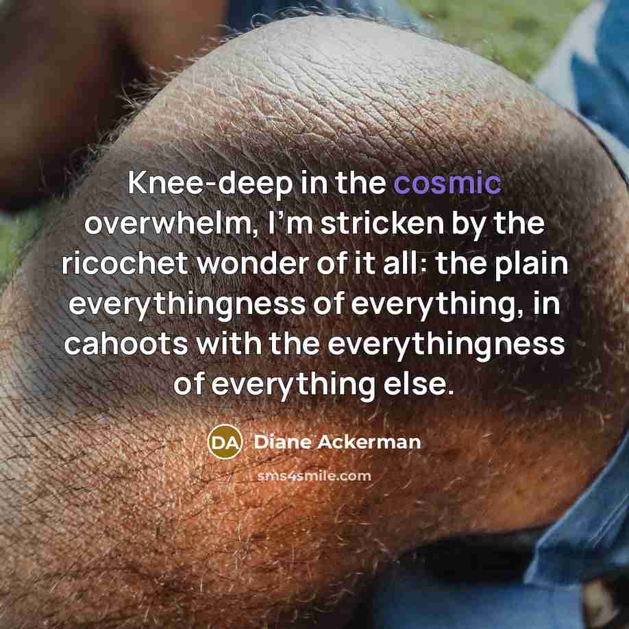 “Knee-deep in the cosmic overwhelm, I’m stricken by the ricochet…” quote by Diane Ackerman