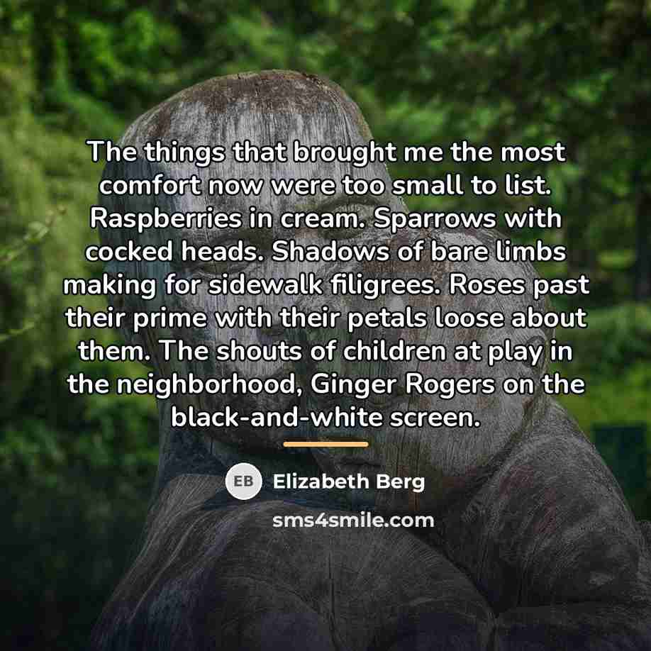 “The things that brought me the most comfort now were…” quote by Elizabeth Berg