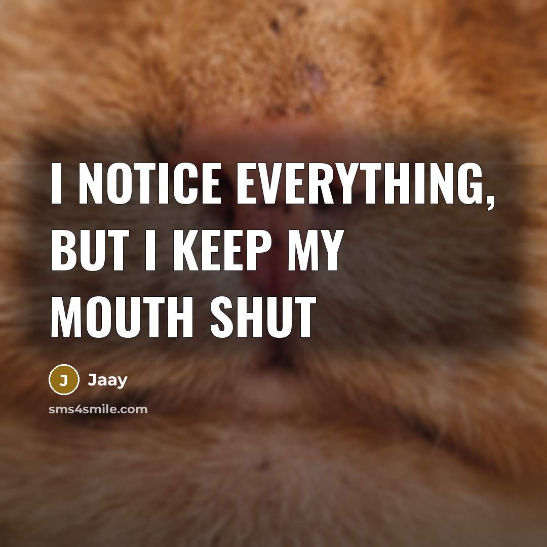 “I notice everything, but I keep my mouth shut” quote by Jaay