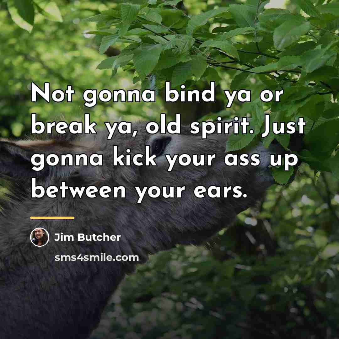 “Not gonna bind ya or break ya, old spirit. Just…” quote by Jim Butcher