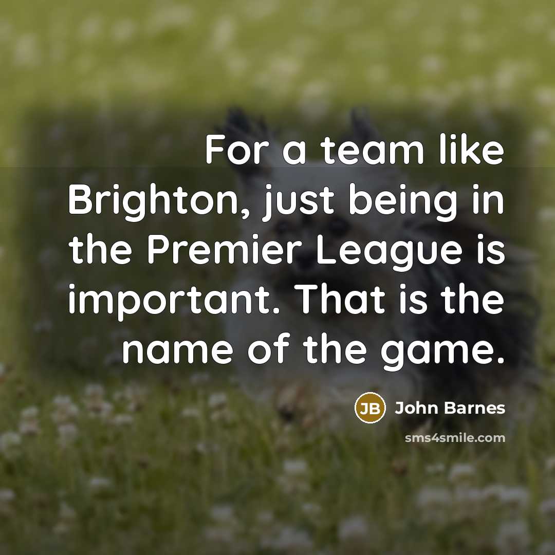 “For a team like Brighton, just being in the Premier…” quote by John Barnes