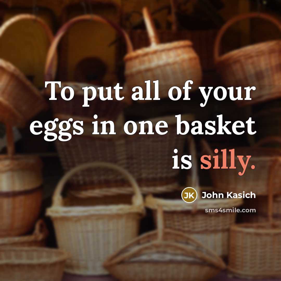 “To put all of your eggs in one basket is silly.” quote by John Kasich