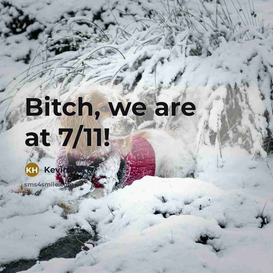 “Bitch, we are at 7/11!…” quote by Kevin Hart