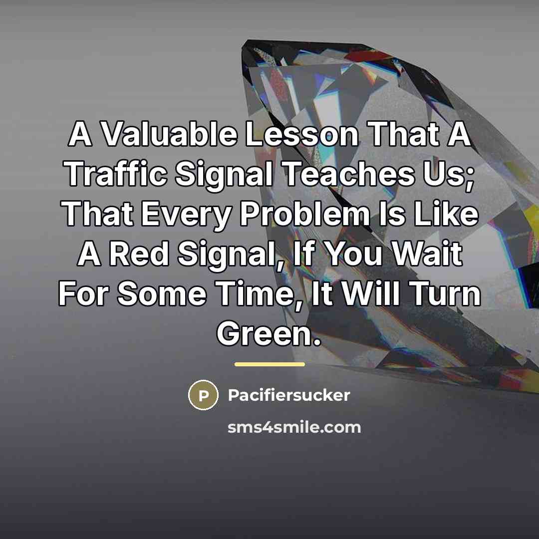 “A Valuable Lesson That A Traffic Signal Teaches Us; That…” quote by Pacifiersucker